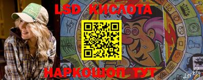 крисы Камышлов