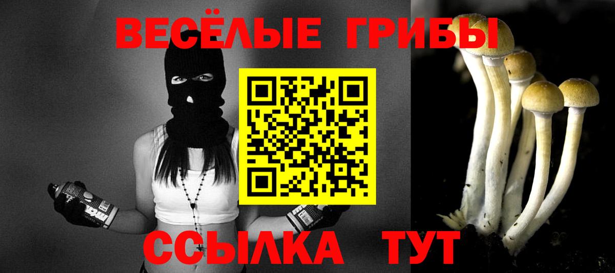 Псилоцибиновые грибы MAGIC MUSHROOMS  Вход с VPN  Лысьва 